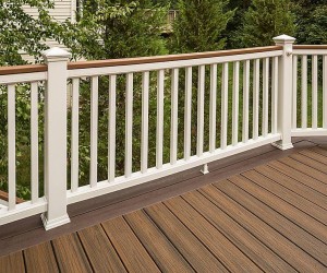 railing-Transcend