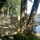 treated-deck-lafayette